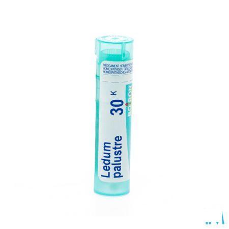 Ledum Palustre 30K Gr 4g  -  Boiron