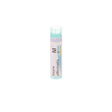 Sepia Officinalis MK Gr 4g  -  Boiron