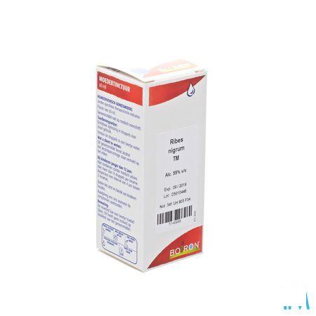 Ribes Nigrum Tm 60 ml  -  Boiron